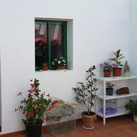 Camping Nomad Holiday Güímar