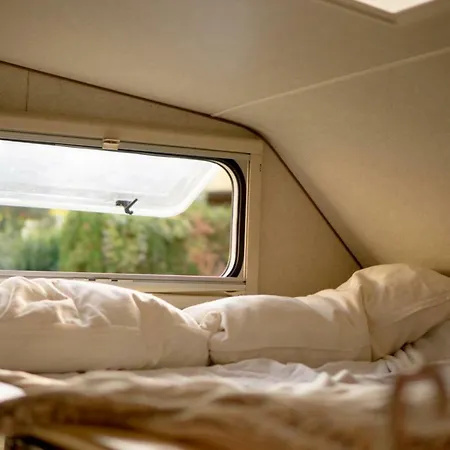 Nomad Holiday Kemp